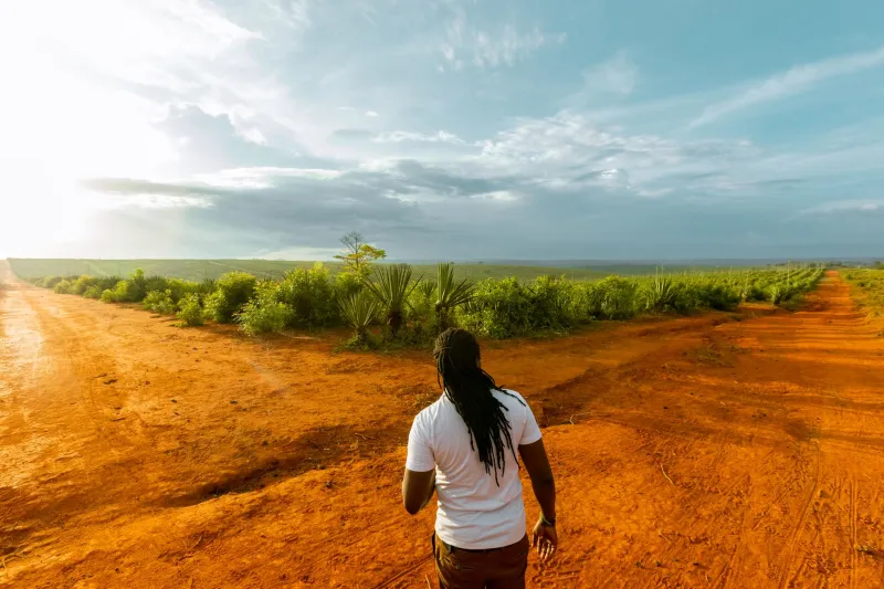 How to Change Everything Without Losing Everyone
